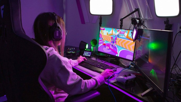 Online game streamers